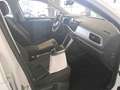 Volkswagen T-Roc T-ROC 1.0 TSI LIFE*AHK*PDC*SHZ*NAVI*KLIMA*ALLWET Weiß - thumbnail 10
