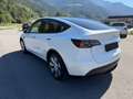Tesla Model Y Model Y 62kWh Base Weiß - thumbnail 2