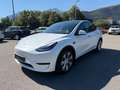 Tesla Model Y Model Y 62kWh Base Weiß - thumbnail 1