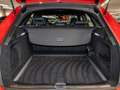 Audi RS4 RS 4 Avant 2.9 TFSI qu HeadUp Pano B&O 280-km/h Rot - thumbnail 7