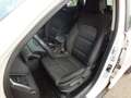 Hyundai TUCSON 1.7 CRDi 115 CV 2-WD CLASSIC-UNIPROPRIETARIO. Wit - thumbnail 19