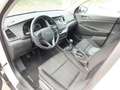 Hyundai TUCSON 1.7 CRDi 115 CV 2-WD CLASSIC-UNIPROPRIETARIO. Wit - thumbnail 17