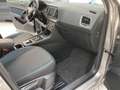 SEAT Ateca Style LED Full Link  ACC PDC hinten Beige - thumbnail 9