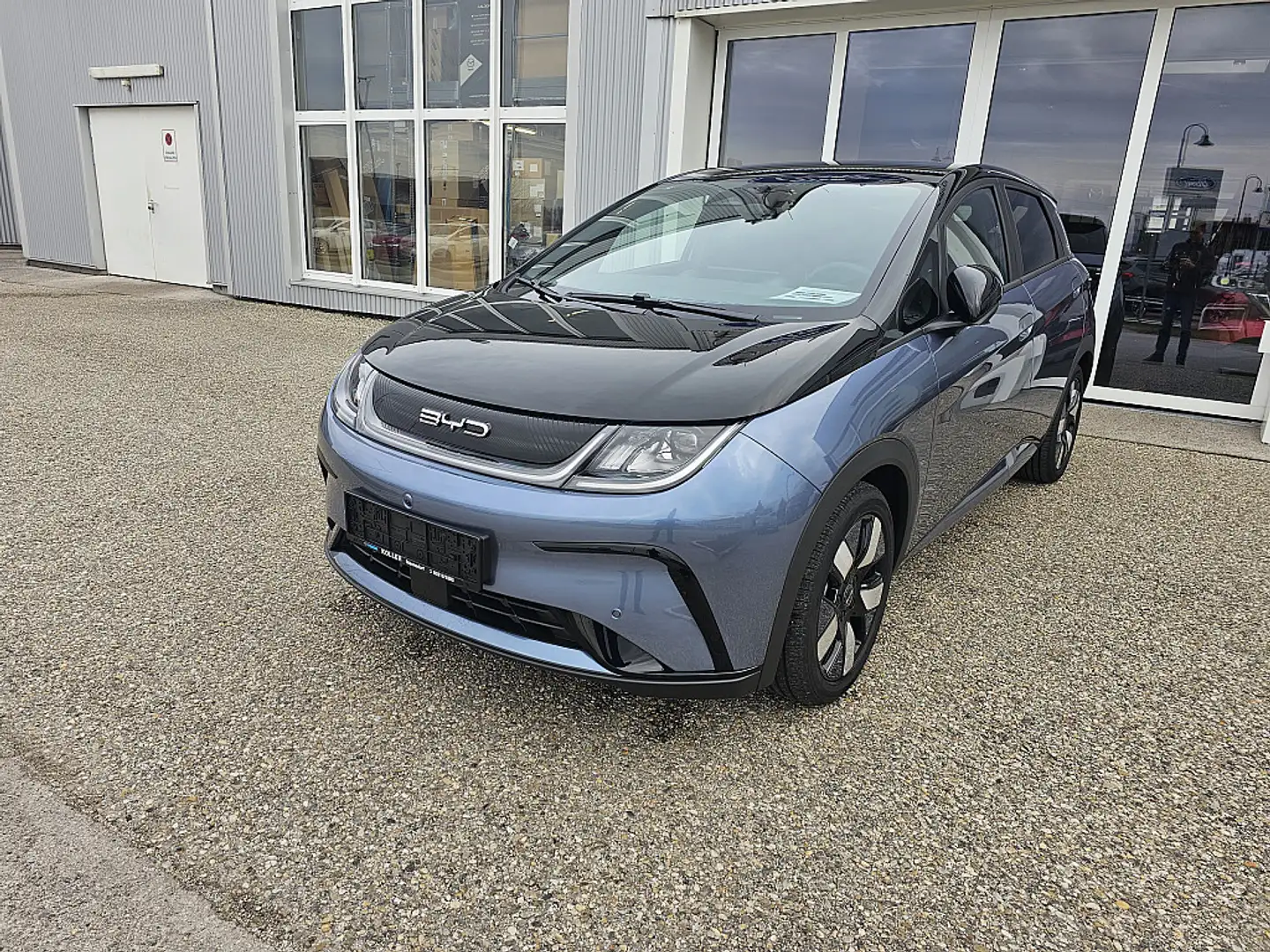 BYD Dolphin 60,4 kWh Design Österreich Paket Gri - 2