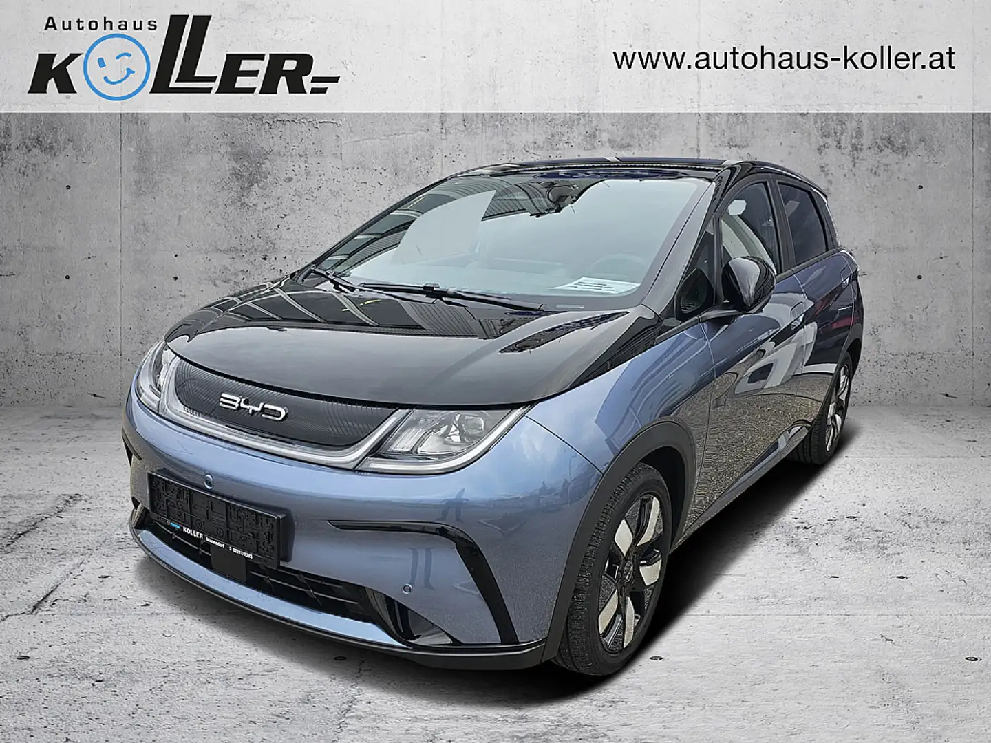 BYD Dolphin 60,4 kWh Design Österreich Paket Gri - 1