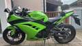 Kawasaki Ninja 300 Groen - thumbnail 1