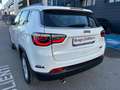 Jeep Compass 1.6 Multijet II 120cv Longitude 2WD my20 1.6 mjt Weiß - thumbnail 6