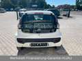 Citroen C1 Attraction KLIMA*2.HAND*TÜV-NEU*TOP* Weiß - thumbnail 5