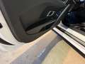Audi R8 5.2 FSI RWS *1 of 999* *Carbon Weiß - thumbnail 25