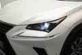 Lexus NX 300 300h Executive Navigation 4WD Blanco - thumbnail 36