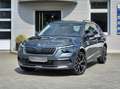 Skoda Kamiq Clever 1.0 TSI LED/RFK/SmartLink/SHZG/PDC Grau - thumbnail 1