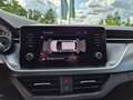 Skoda Kamiq Clever 1.0 TSI LED/RFK/SmartLink/SHZG/PDC Grau - thumbnail 22