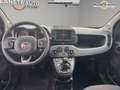 Fiat Panda 1.0i BSG - 70 S\u0026S MY21  III City Life.Livraison FRANCE possible. Blanc - thumbnail 4