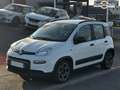 Fiat Panda 1.0i BSG - 70 S\u0026S City Life. Garanti jusqu\u0027à 5 ans. Livraison possible Wit - thumbnail 1