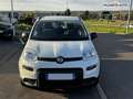 Fiat Panda 1.0i BSG - 70 S\u0026S MY21  III City Life.Livraison FRANCE possible. Dès 135 €/mois Weiß - thumbnail 2