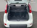 Fiat Panda 1.0i BSG - 70 S\u0026S MY21  III City Life.Livraison FRANCE possible. Blanc - thumbnail 17