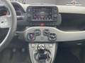 Fiat Panda 1.0i BSG - 70 S\u0026S MY21  III City Life.Livraison FRANCE possible. Blanc - thumbnail 6