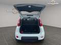 Fiat Panda 1.0i BSG - 70 S\u0026S MY21  III City Life.Livraison FRANCE possible. Blanc - thumbnail 15