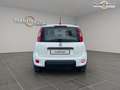Fiat Panda 1.0i BSG - 70 S\u0026S MY21  III City Life.Livraison FRANCE possible. Blanc - thumbnail 16