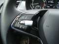 Skoda Fabia Combi 1.0 TSI Greentech Business Edition Rood - thumbnail 22
