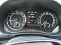 Skoda Fabia Combi 1.0 TSI Greentech Business Edition Rood - thumbnail 19
