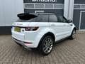 Land Rover Range Rover Evoque 2.0 Si4 4wd Dynamic 2012 *Pano *Leder *Cruise *Nav Bianco - thumbnail 2