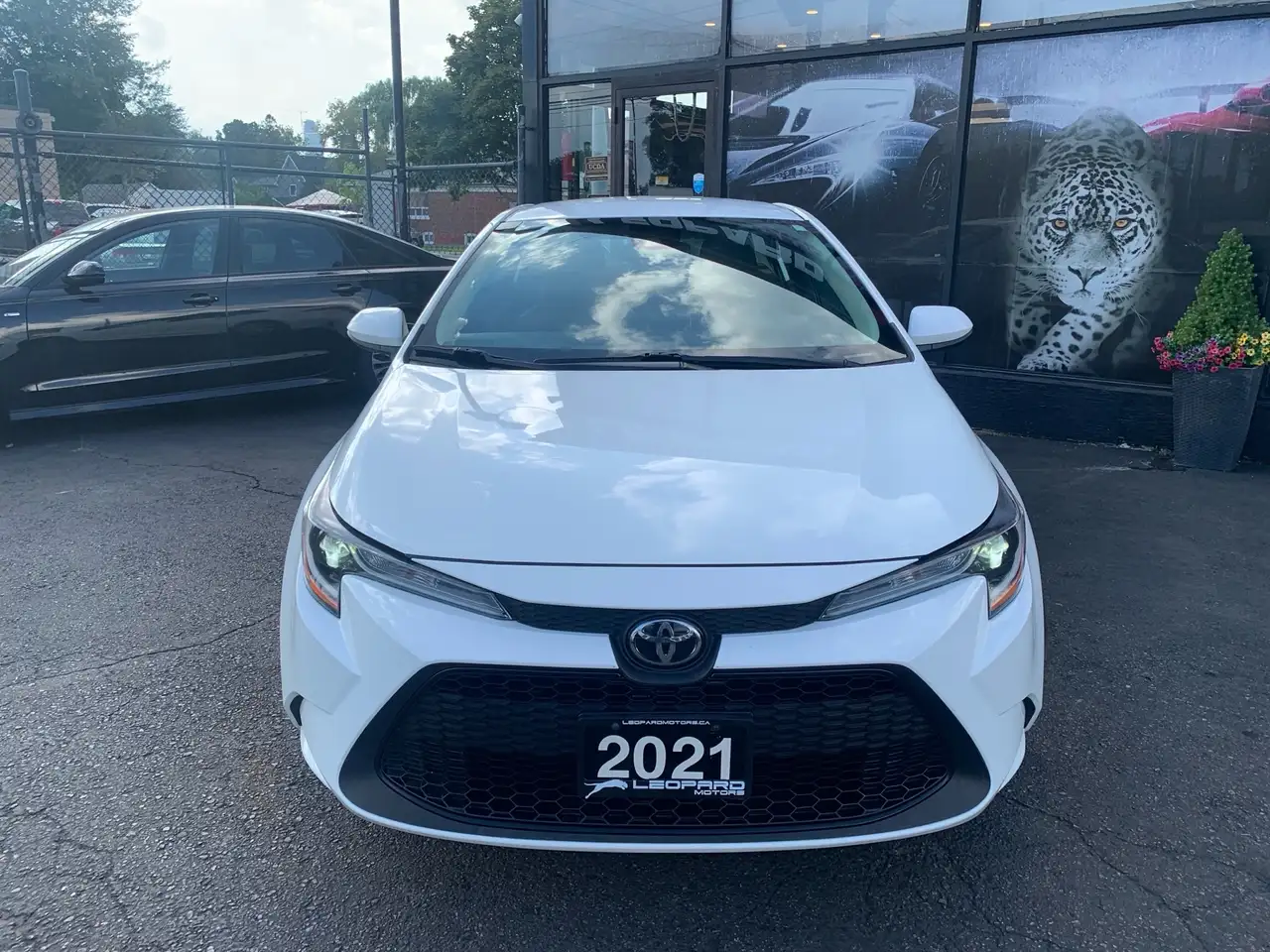 Toyota Corolla снимка Toyota Corolla
