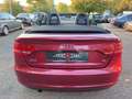 Audi A3 1.6 Cabriolet Ambition*1.HAND-EURO 4-ALU-WR* Rot - thumbnail 10