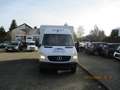 Mercedes-Benz Sprinter Verkaufsaufbau Metzgerei Blanco - thumbnail 1