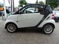 smart city-coupé/city-cabrio smart fortwo twinamic Wit - thumbnail 3