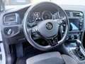 Volkswagen Golf Variant Golf Variant Comfortline 1,6 TDI DSG Comfortline Weiß - thumbnail 4