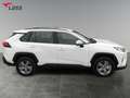 Toyota RAV 4 RAV4 2.5 Business Edition +Allwetter+EPH+LED+Navi Weiß - thumbnail 7
