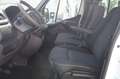 Opel Movano B Pritsche L3H1*7-Sitzer*Klima*Navi*RFK* Weiß - thumbnail 11