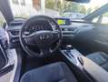 Lexus UX 250h EXECUTIVE Bianco - thumbnail 11