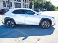 Lexus UX 250h EXECUTIVE Bianco - thumbnail 3