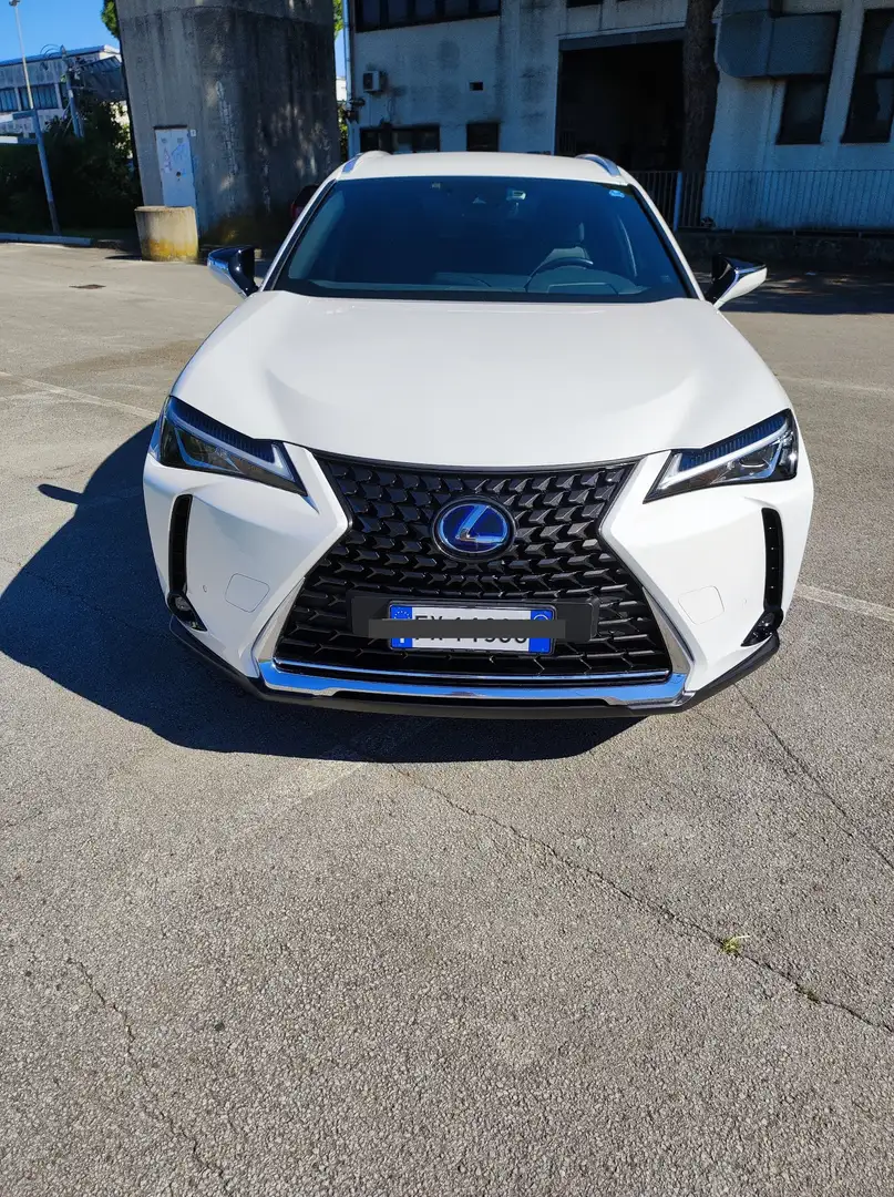 Lexus UX 250h EXECUTIVE Bianco - 2