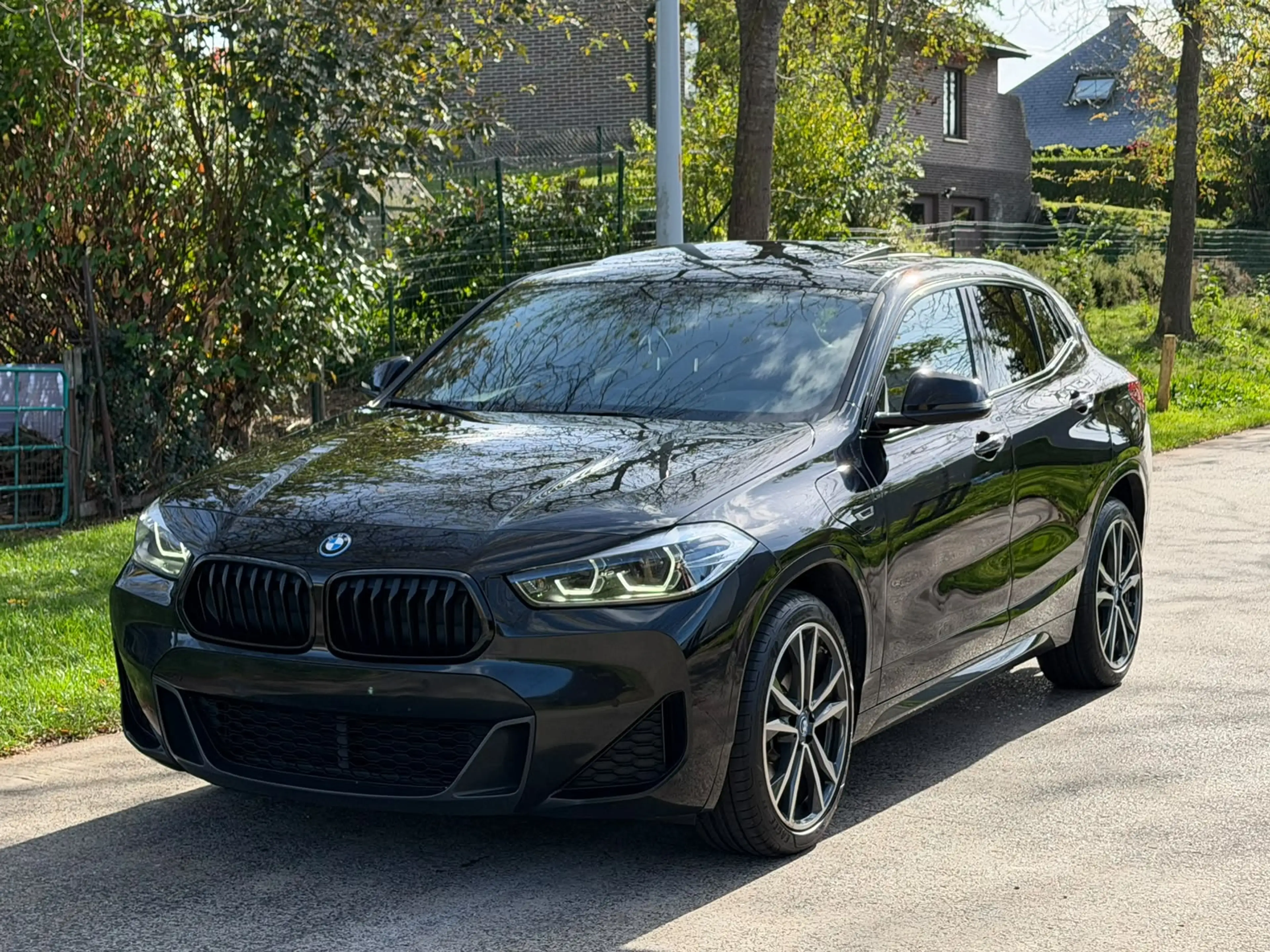 BMW X2 X2 PHEV 1.5iA xDrive25e OPF