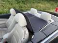 Volkswagen Eos 2.0 TDI Automatik Bi-Xenon Schwarz - thumbnail 20