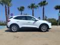 Ford Kuga Kuga 2.5 Duratec PHEV TITANIUM - thumbnail 6