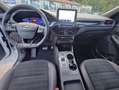Ford Kuga 1.5 ecoblue ST-Line X 2wd 120cv auto Bianco - thumbnail 5
