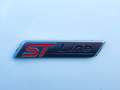 Ford Kuga 1.5 ecoblue ST-Line X 2wd 120cv auto Bianco - thumbnail 10
