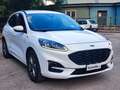 Ford Kuga 1.5 ecoblue ST-Line X 2wd 120cv auto Bianco - thumbnail 2