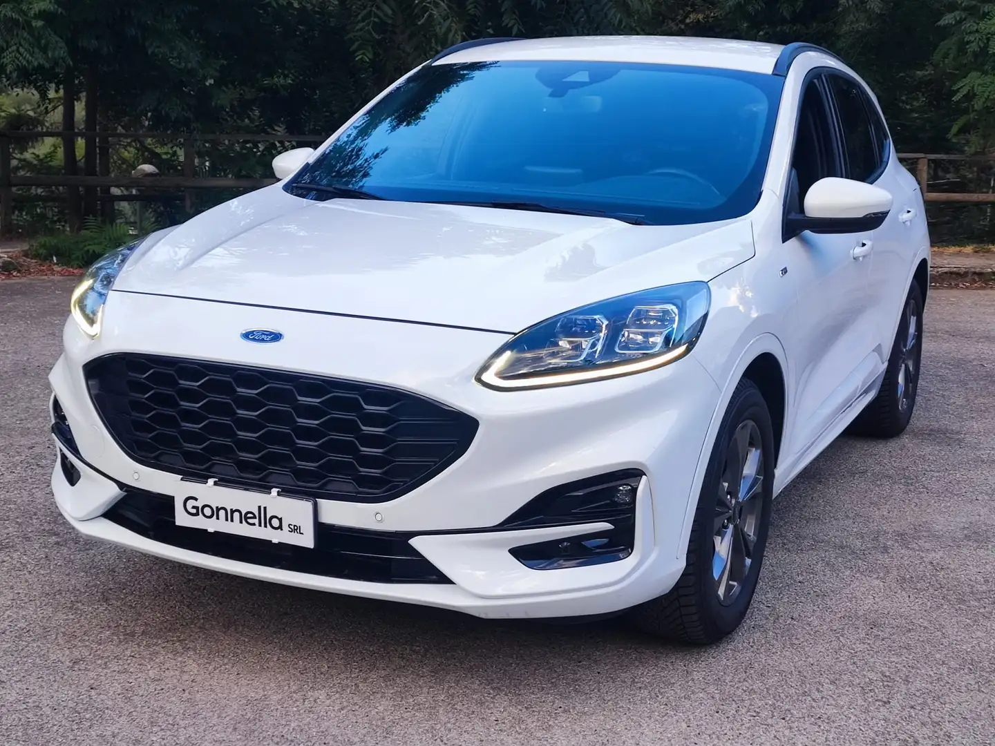 Ford Kuga 1.5 ecoblue ST-Line X 2wd 120cv auto Bianco - 1