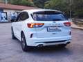 Ford Kuga 1.5 ecoblue ST-Line X 2wd 120cv auto Bianco - thumbnail 3