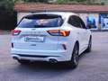 Ford Kuga 1.5 ecoblue ST-Line X 2wd 120cv auto Bianco - thumbnail 4