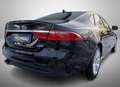 Jaguar XF R-Sport AWD 18"Alu Sound ACC Totwinkel Pano Kamera Noir - thumbnail 13