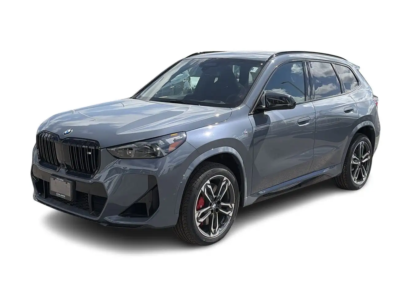 BMW X1 photo BMW X1