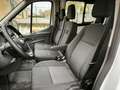 Ford Transit Transit 350 2.0TDCi EcoBlue 165CV aut. PL-TA-DC Weiß - thumbnail 12