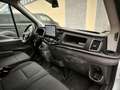 Ford Transit Transit 350 2.0TDCi EcoBlue 165CV aut. PL-TA-DC Weiß - thumbnail 13