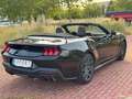 Ford Mustang Mustang Convertible 5.0 Ti-VCT GT Aut. GT Negro - thumbnail 5